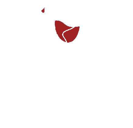 Art & Wine Toledo